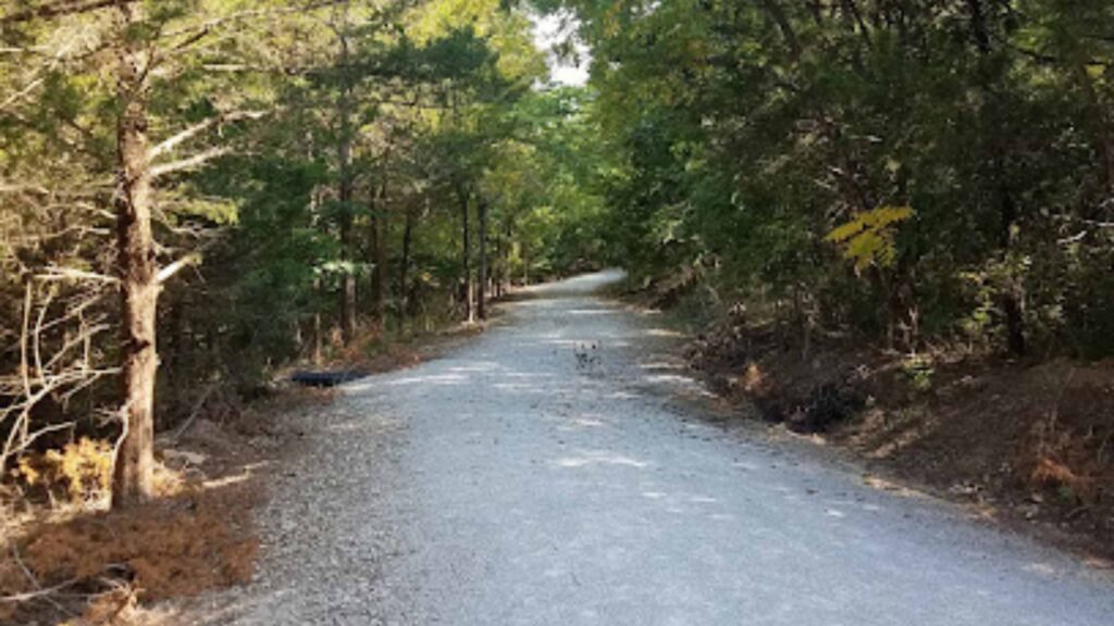 Lake Vista Trail